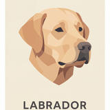 Labrador Poster Minimalistisches Hunde-Porträt – Kunstdruck Design
